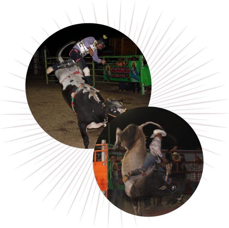 La ganadería del jaripeo