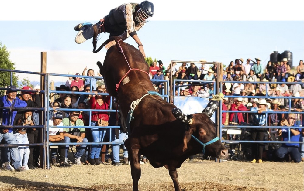 Jaripeo en México
