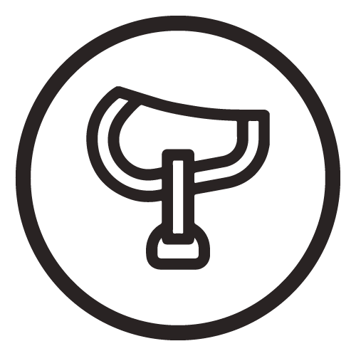 Innovamos las reglas