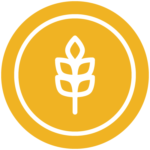 Nutrición especializada